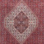 Perser Rug - Bidjar - 290 x 200 cm - red