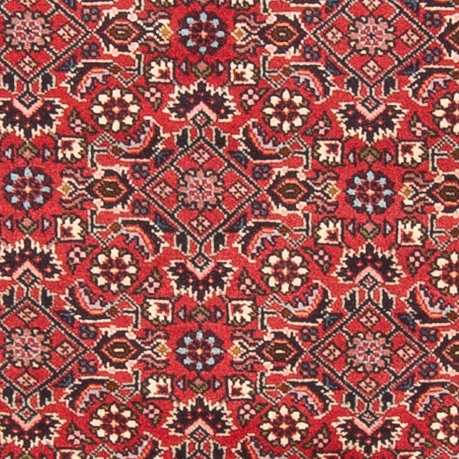 Loper Perzisch tapijt - Bijar - Koninklijk - 253 x 87 cm - rood