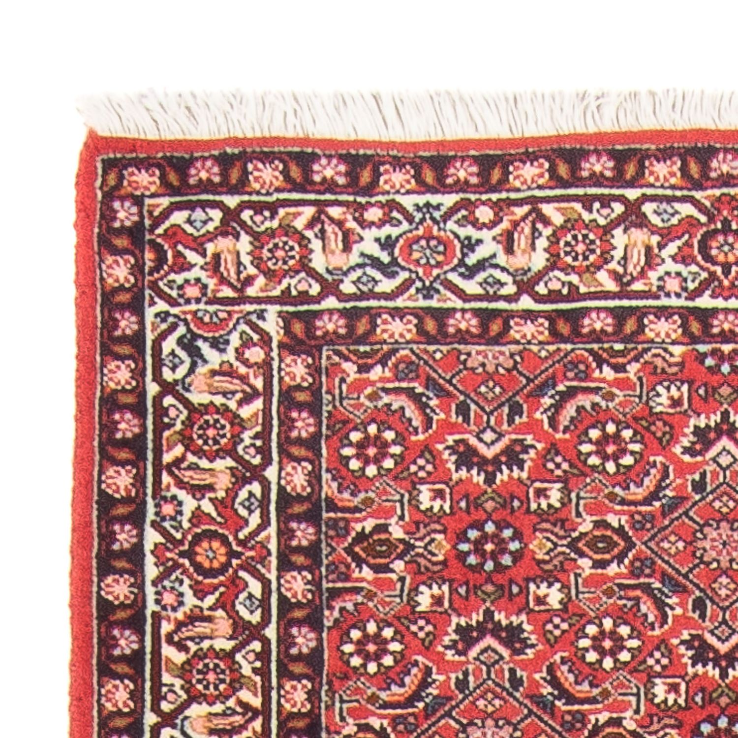 Loper Perzisch tapijt - Bijar - Koninklijk - 253 x 87 cm - rood