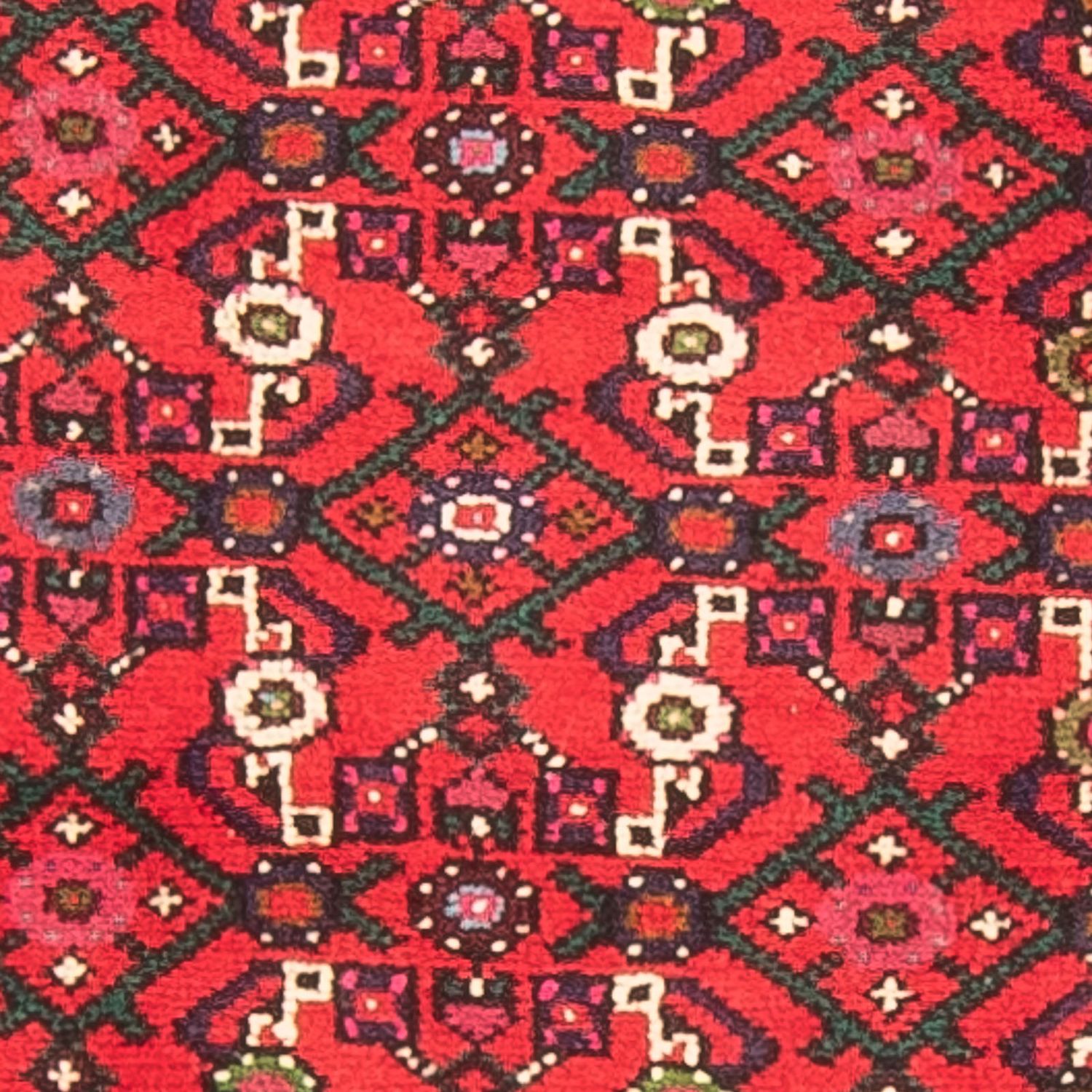 Alfombra de pasillo Alfombra persa - Nómada - 240 x 72 cm - rojo