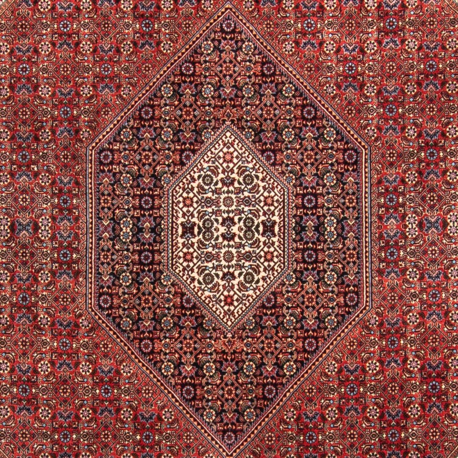 Persisk tæppe - Bijar - Royal - 310 x 205 cm - rød