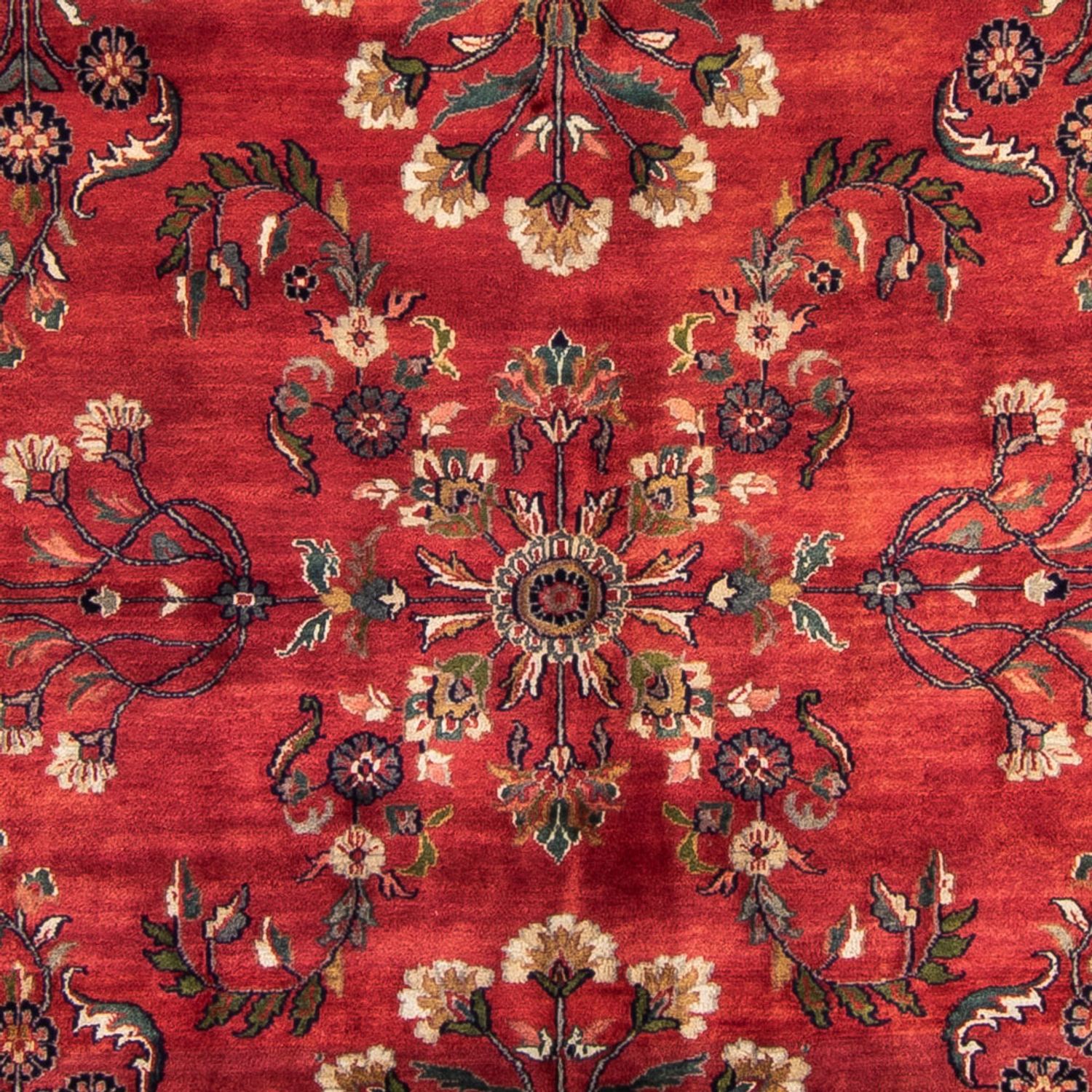 Tappeto orientale - Indo - Reale - 304 x 202 cm - rosso