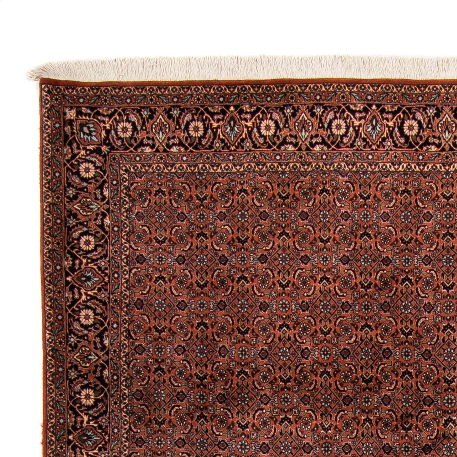 Persisk teppe - Bijar - Royal - 296 x 210 cm - brun