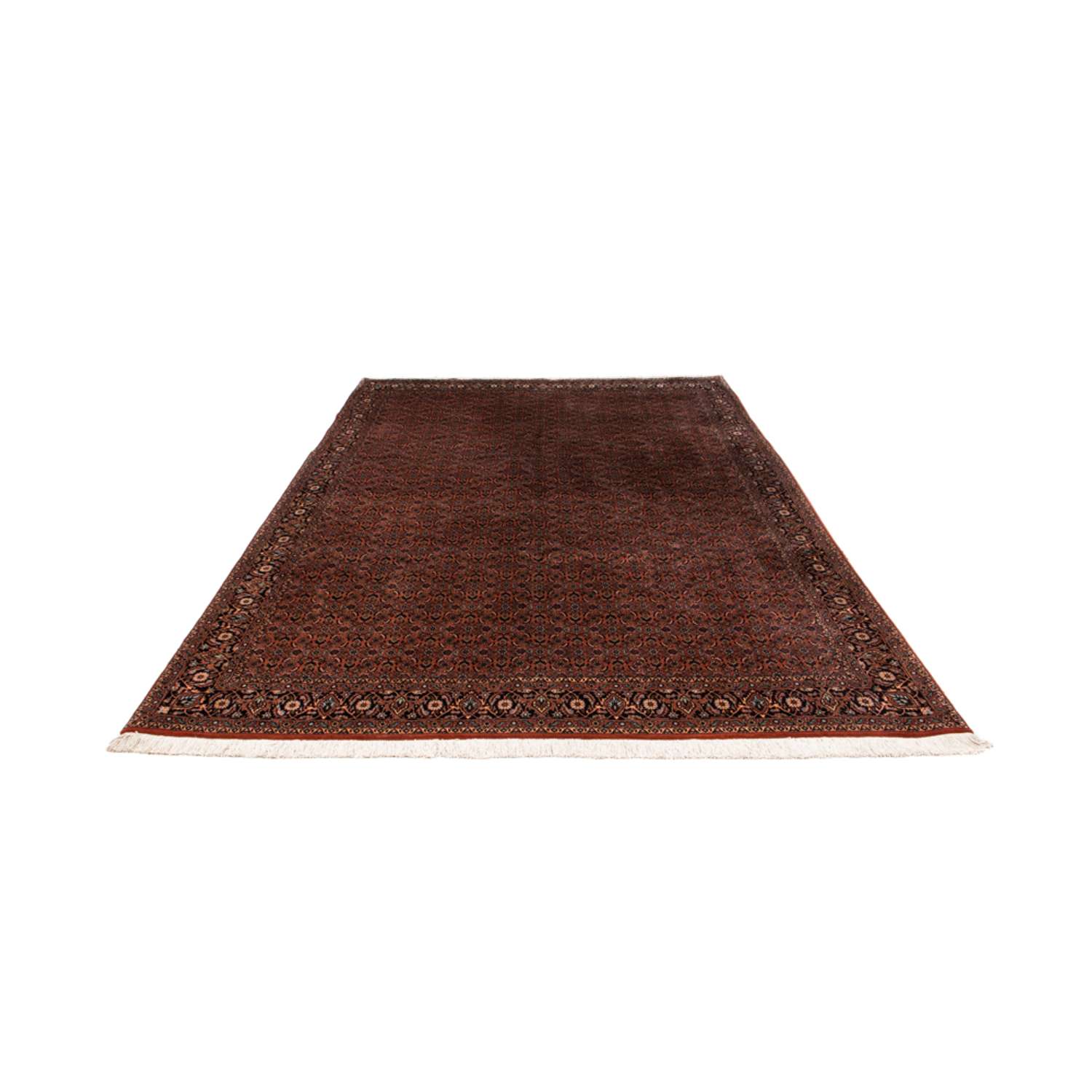 Persisk matta - Bijar - Kungliga - 296 x 210 cm - brun