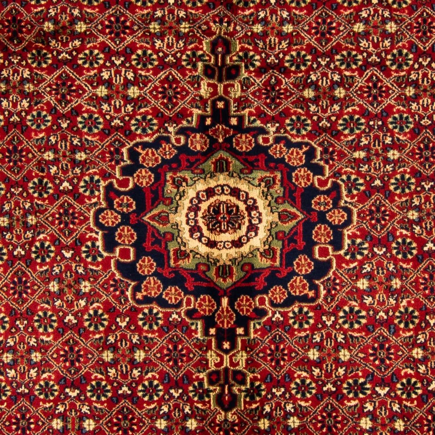 Tappeto orientale - Bidjar - Indo - Reale - 308 x 198 cm - rosso