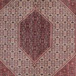 Perser Rug - Bidjar - 342 x 250 cm - red
