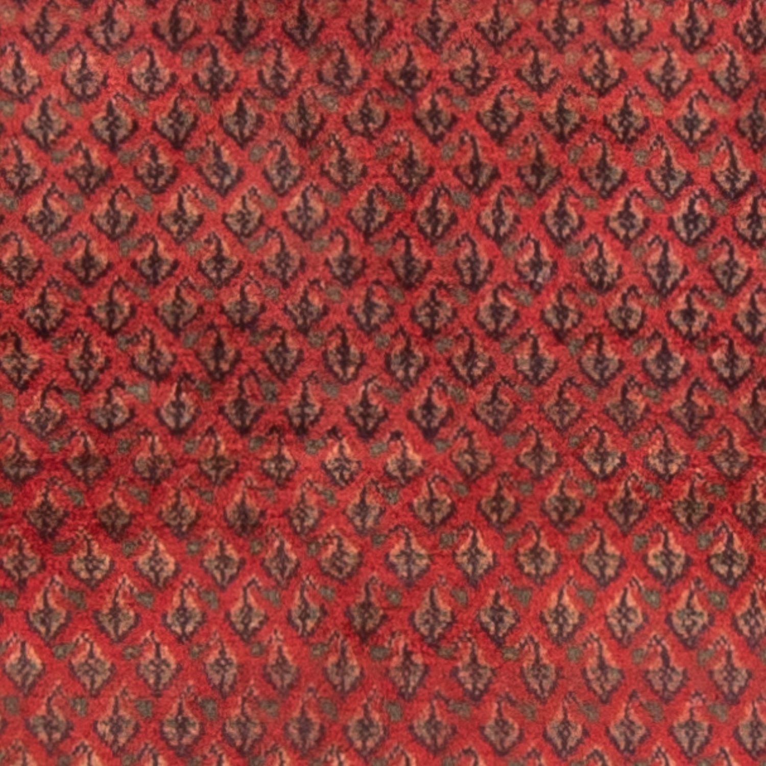 Tapis persan - Mir - 160 x 95 cm - rouge