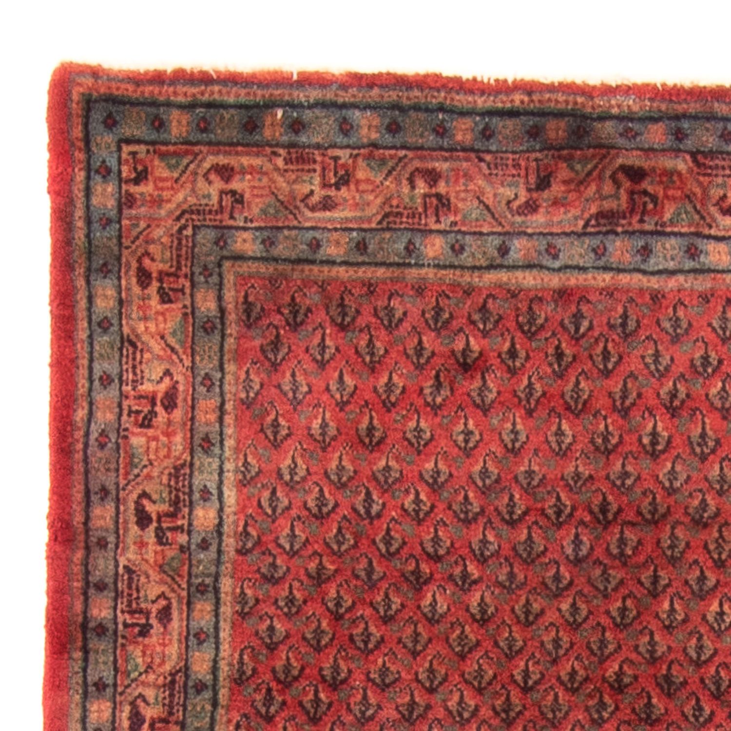 Tapis persan - Mir - 160 x 95 cm - rouge