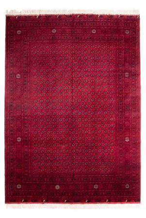 Afghan Teppich - Buchara - 340 x 240 cm - rot