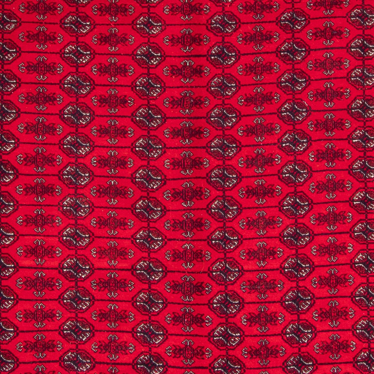 Tapis afghan - Boukhara - 292 x 200 cm - rouge