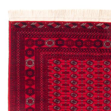 Tapis afghan - Boukhara - 292 x 200 cm - rouge