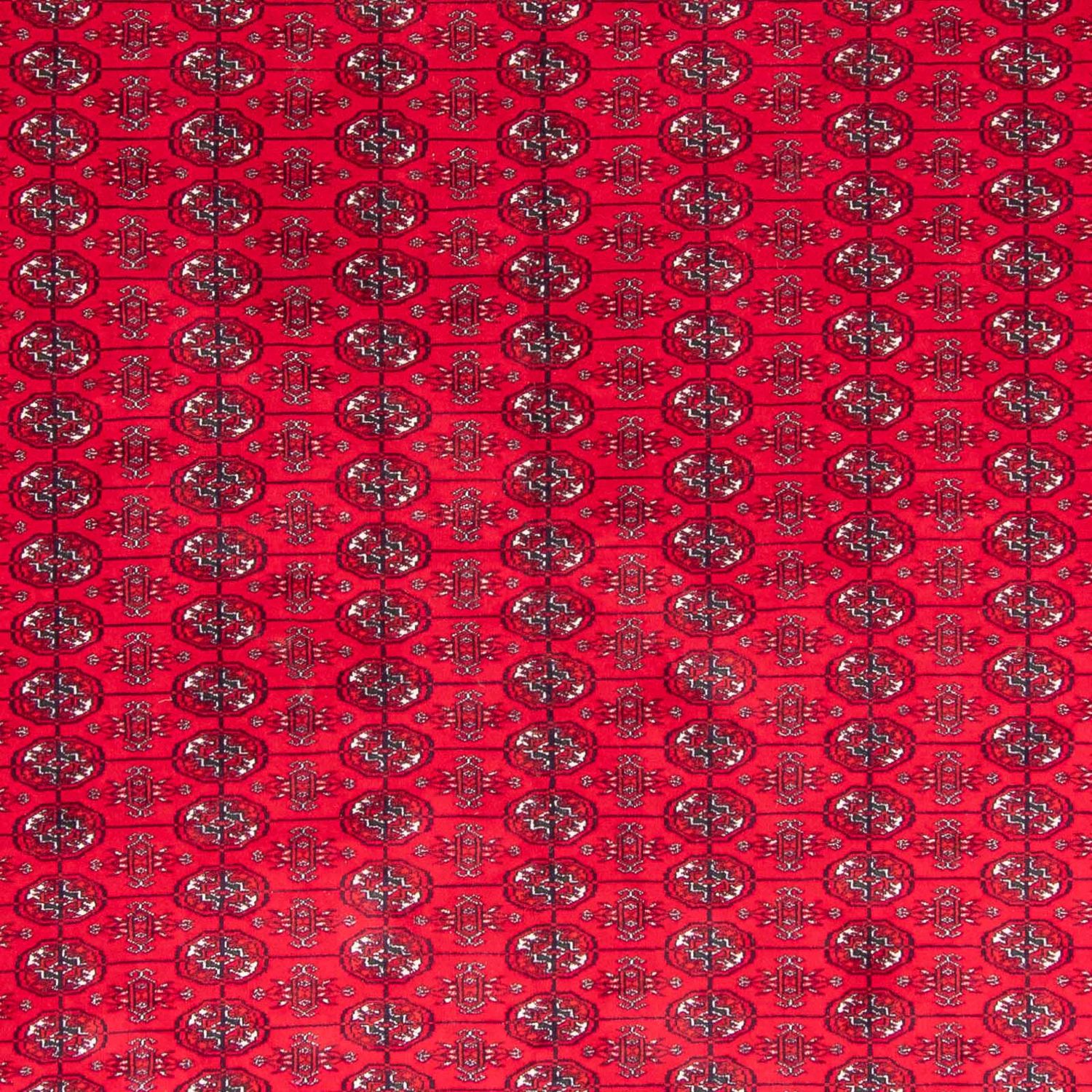 Alfombra afgana - Bukhara - 395 x 310 cm - rojo