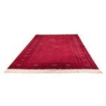 Alfombra afgana - Bukhara - 395 x 310 cm - rojo