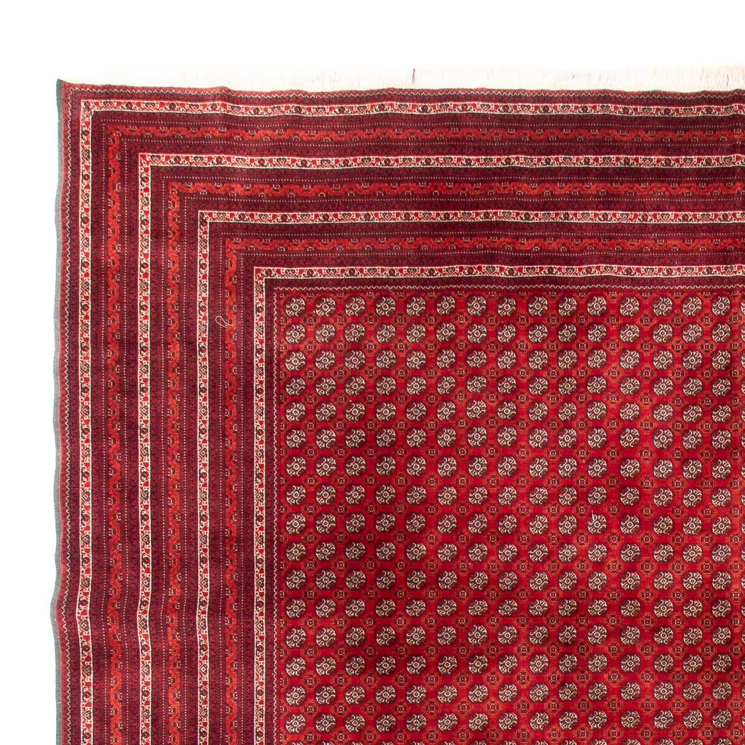 Afghan Teppich - Buchara - 375 x 300 cm - rot