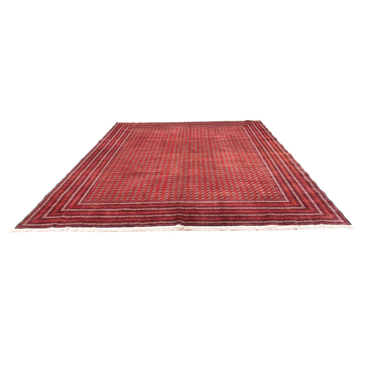 Tapis afghan - Boukhara - 375 x 300 cm - rouge