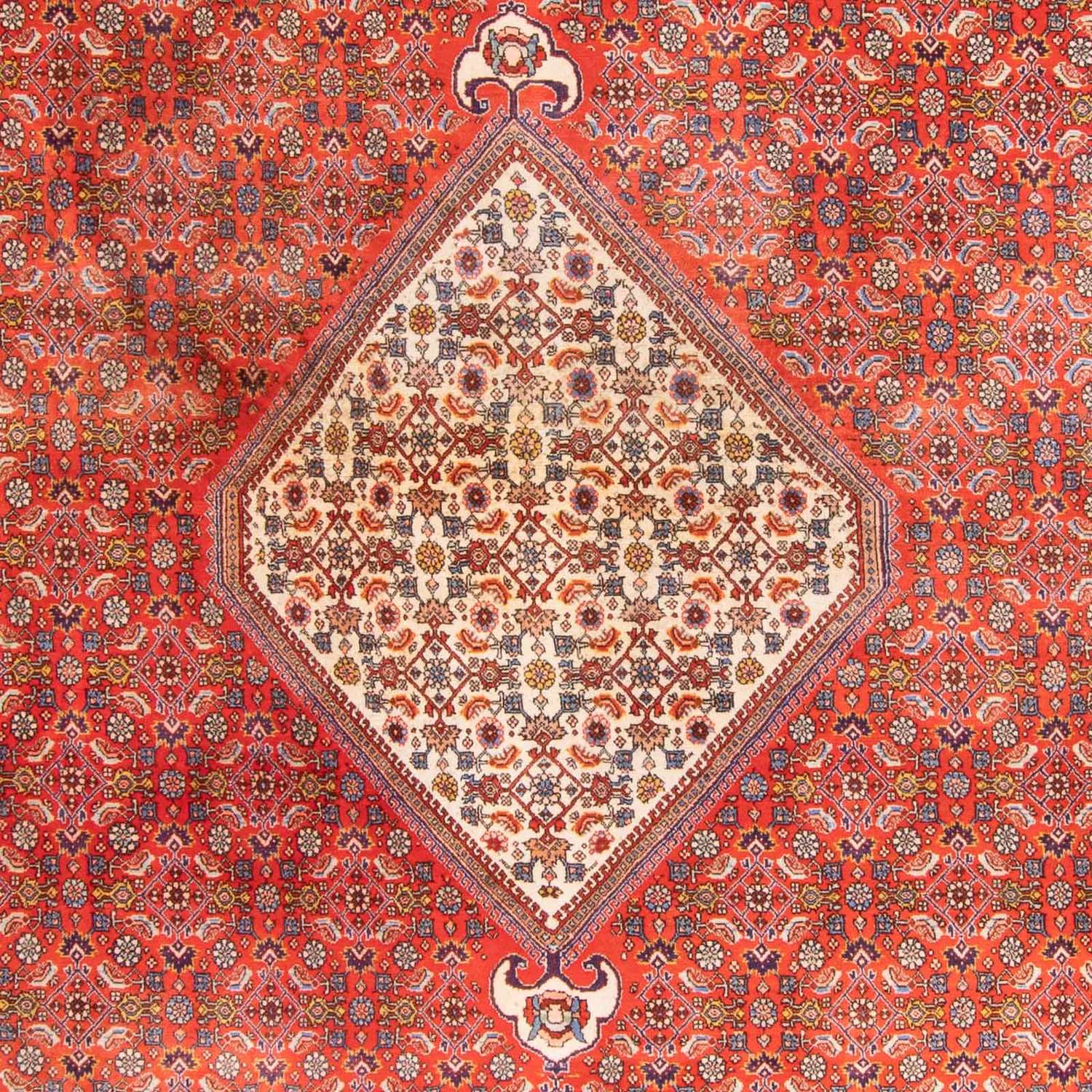 Tapis persan - Bidjar - 420 x 310 cm - terracotta