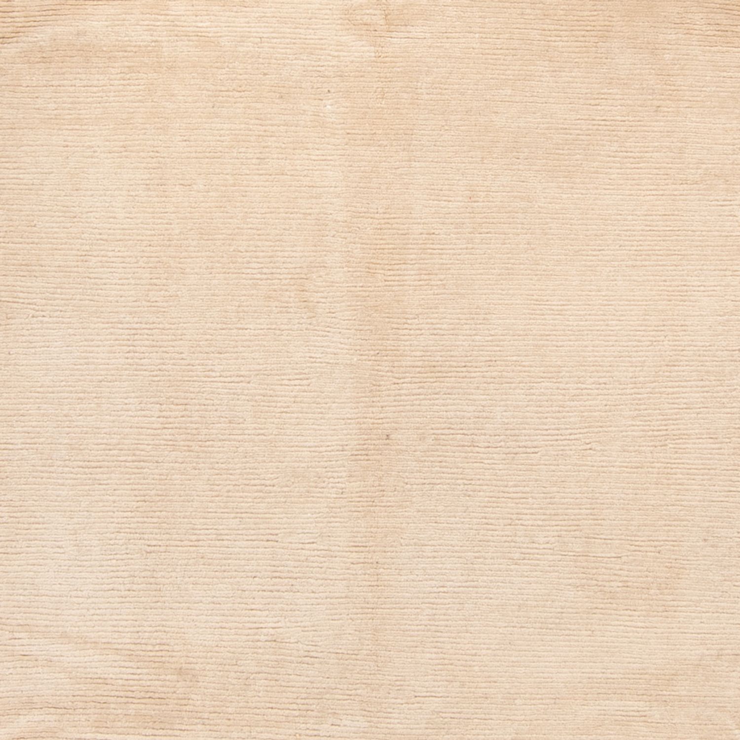 Tapis Népalais - 355 x 257 cm - beige