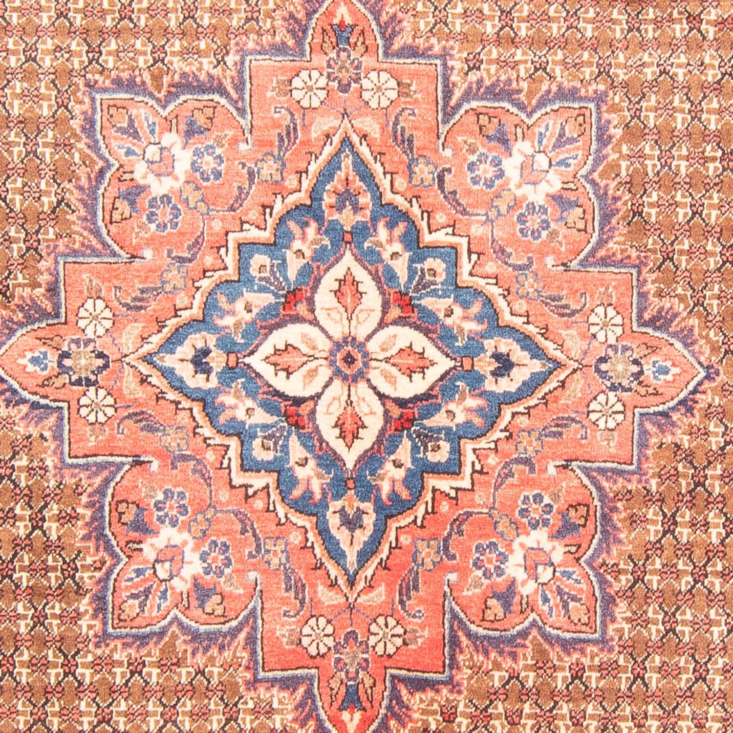 Alfombra persa - Nómada - 310 x 155 cm - multicolor