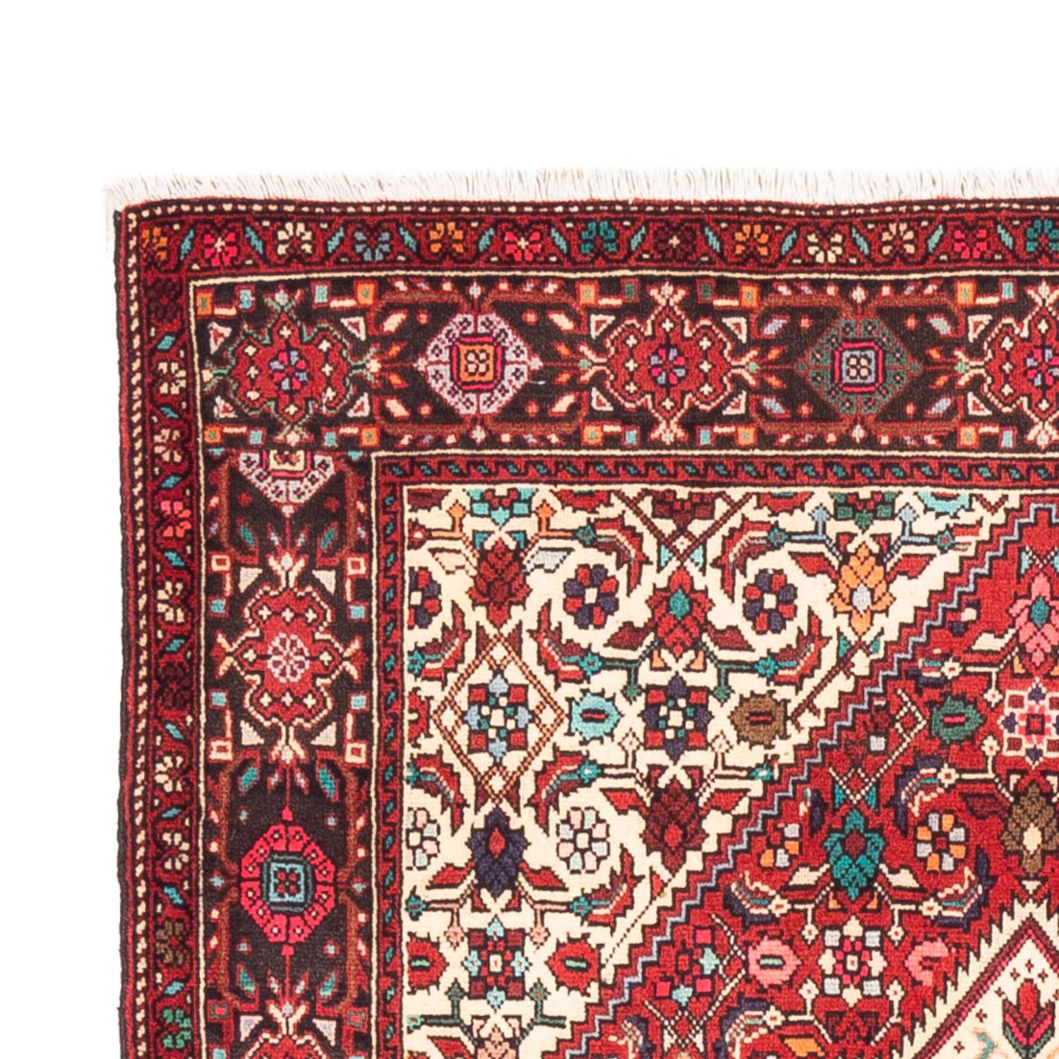Tapis persan - Nomadic - 152 x 102 cm - rouge