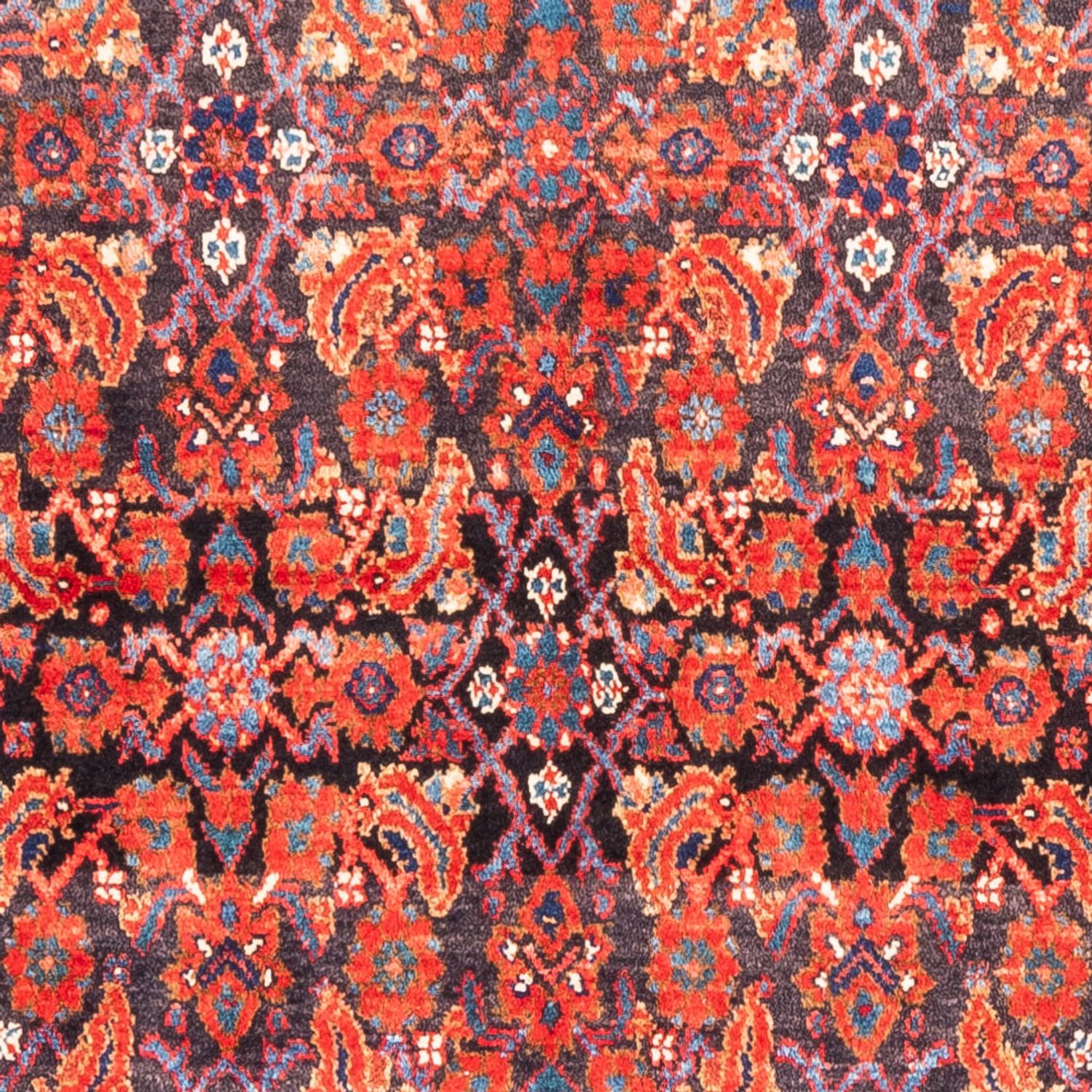 Tapis persan - Nomadic - 320 x 163 cm - rouge