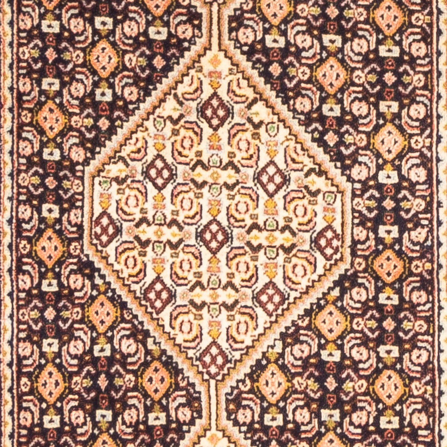 Tapis de couloir Tapis persan - Classique - 245 x 59 cm - crème