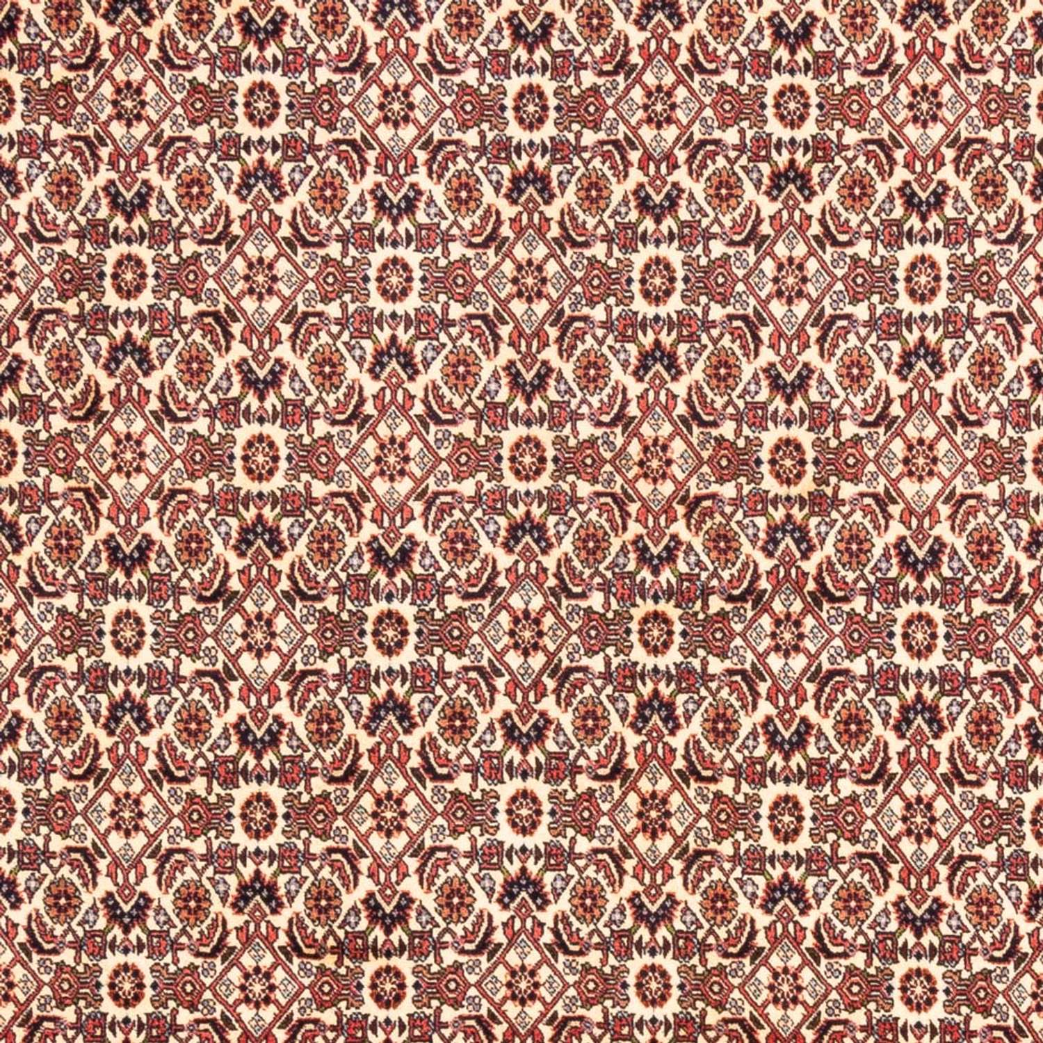 Perzisch tapijt - Bijar - Koninklijk - 244 x 166 cm - beige