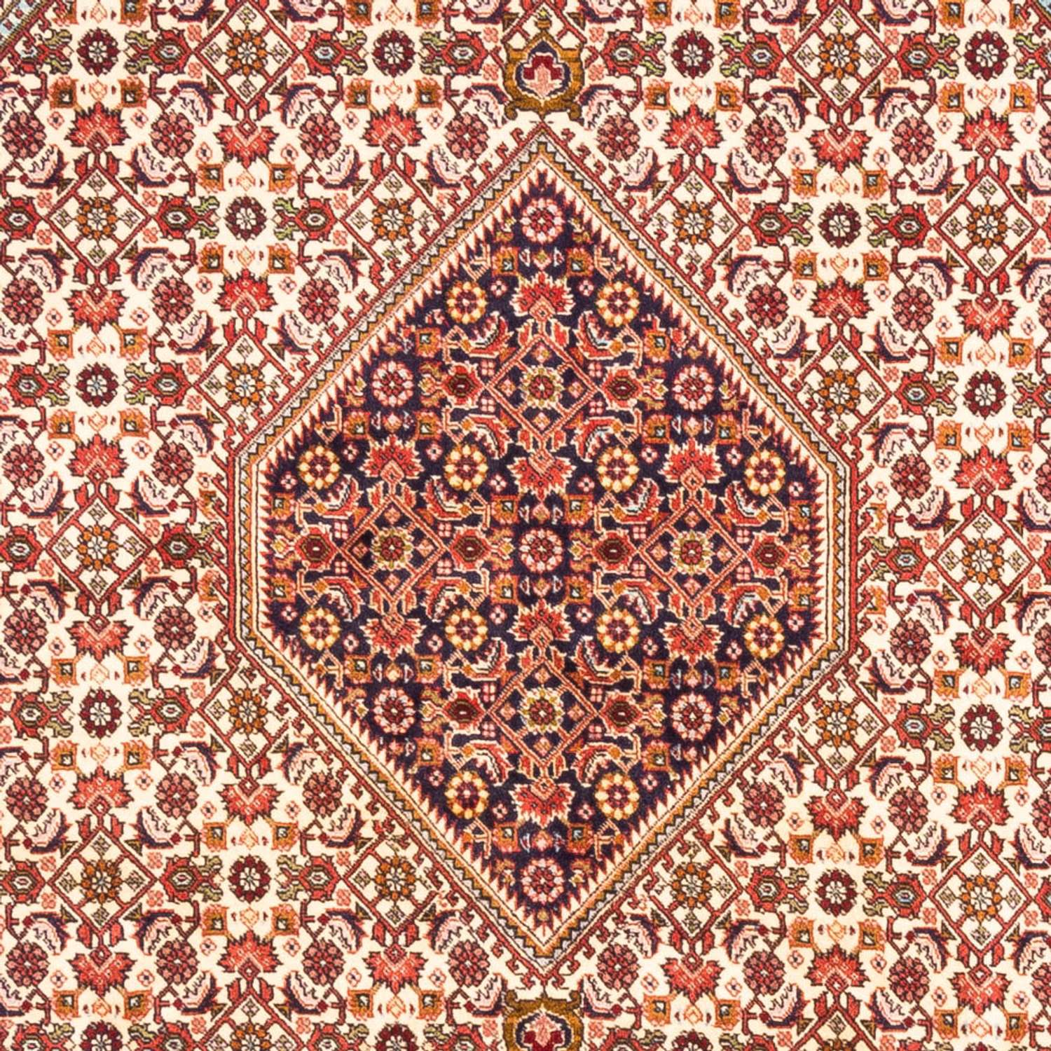 Persisk teppe - Bijar - Royal - 249 x 170 cm - beige