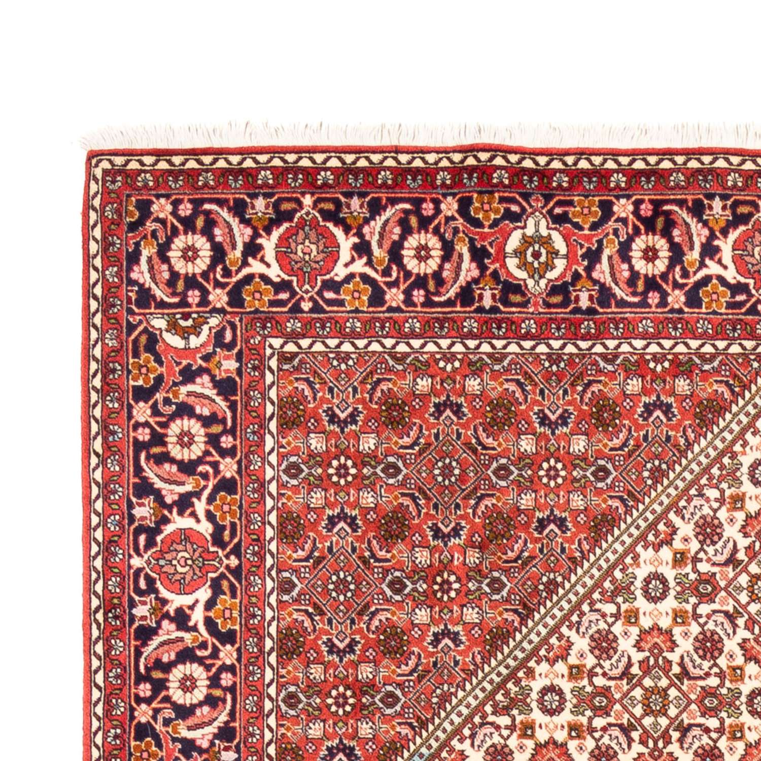 Tapis persan - Bidjar - 249 x 170 cm - beige