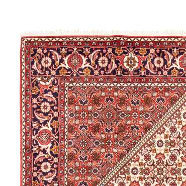 Perserteppich - Bidjar - Royal - 249 x 170 cm - beige