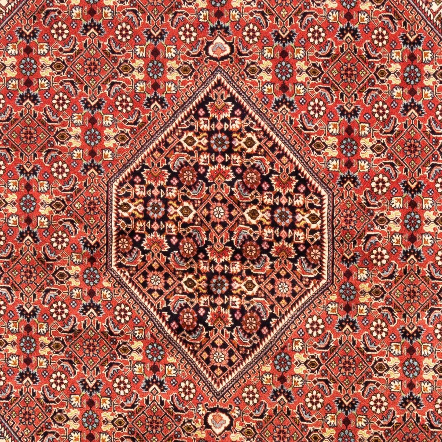 Alfombra persa - Bidjar - 246 x 171 cm - rojo