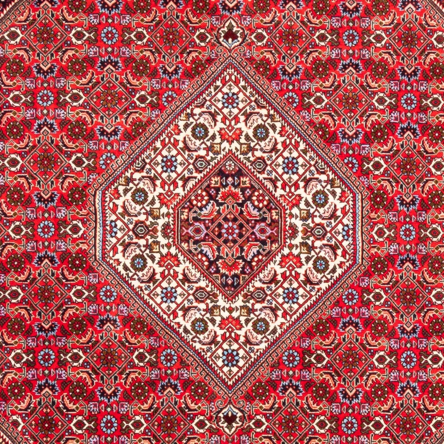 Tapete Persa - Bijar - 253 x 170 cm - vermelho