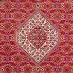 Perser Rug - Bidjar - 253 x 170 cm - red