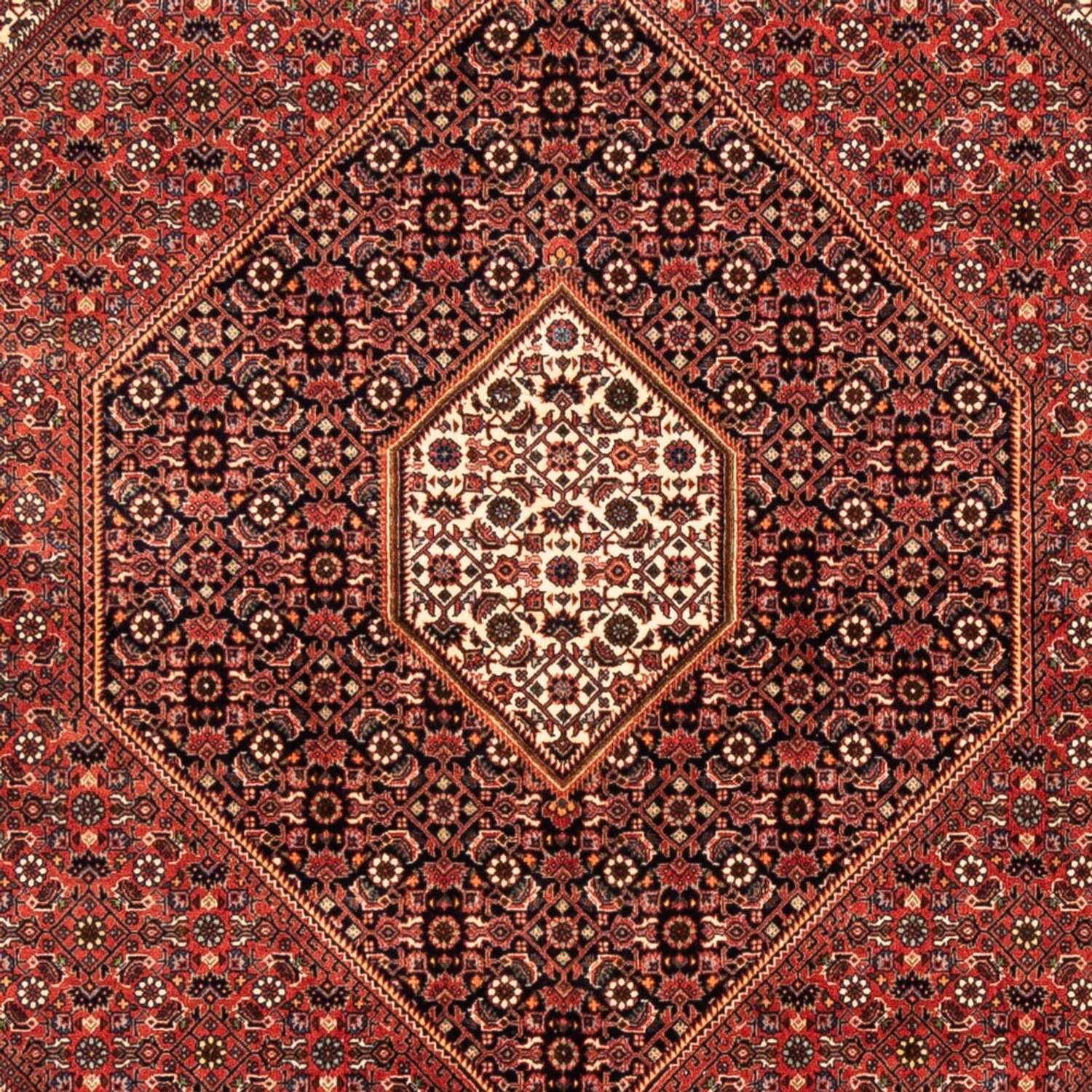 Tapete Persa - Bijar - 235 x 170 cm - vermelho