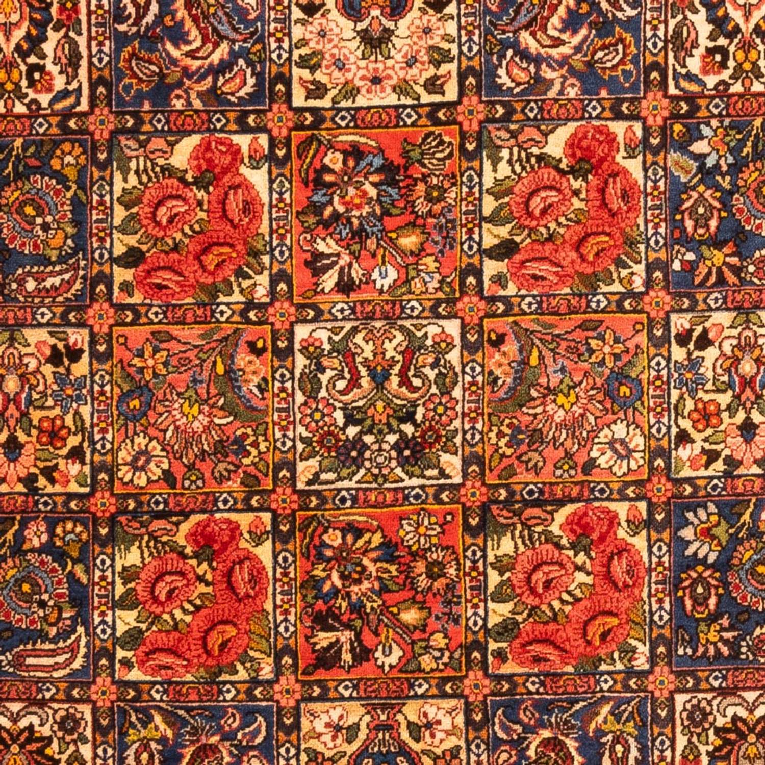 Alfombra persa - Nómada - 255 x 158 cm - multicolor