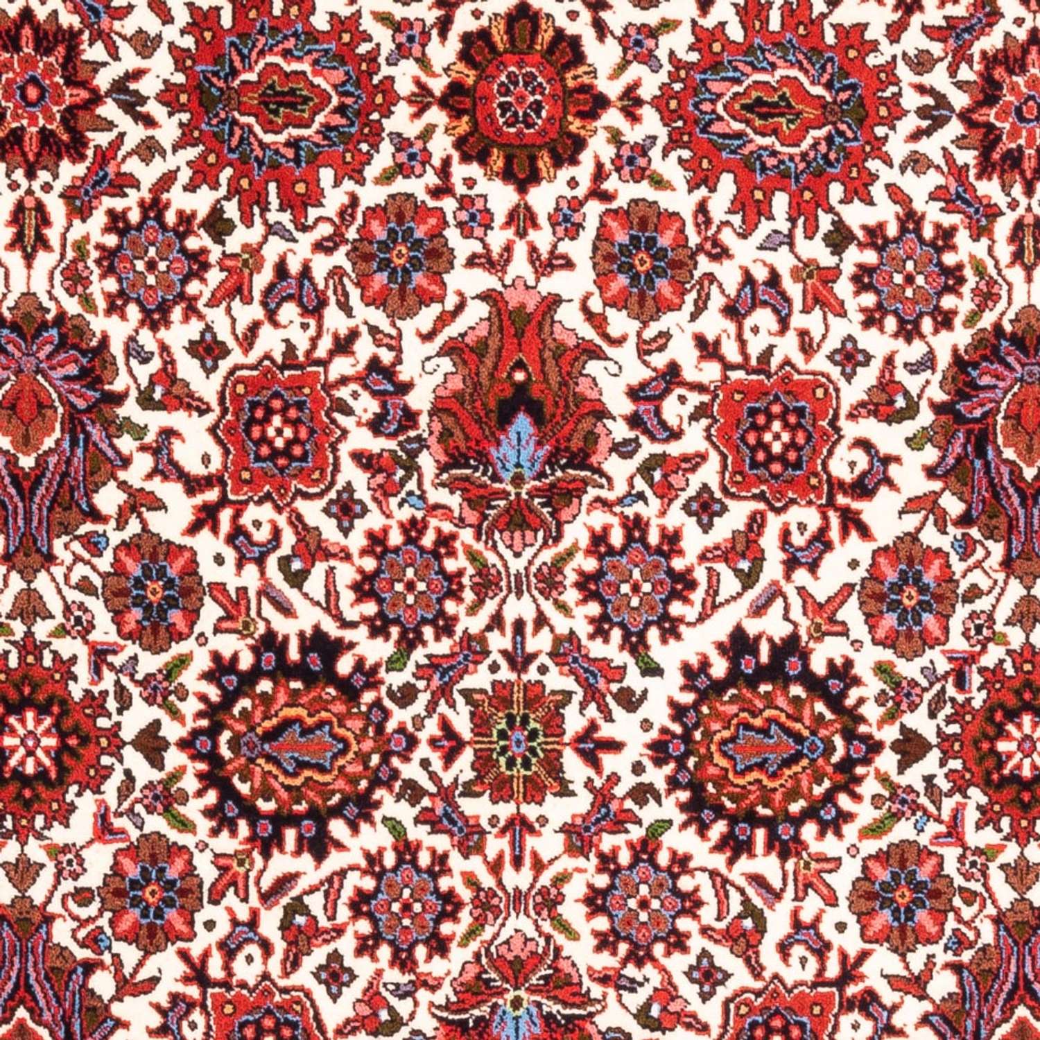 Tapis persan - Bidjar - 177 x 110 cm - crème