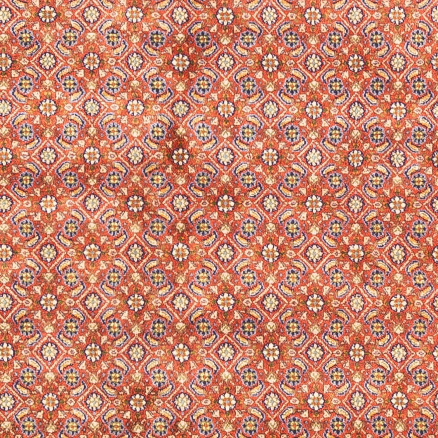 Tapis persan - Classique carré  - 246 x 242 cm - rouge clair