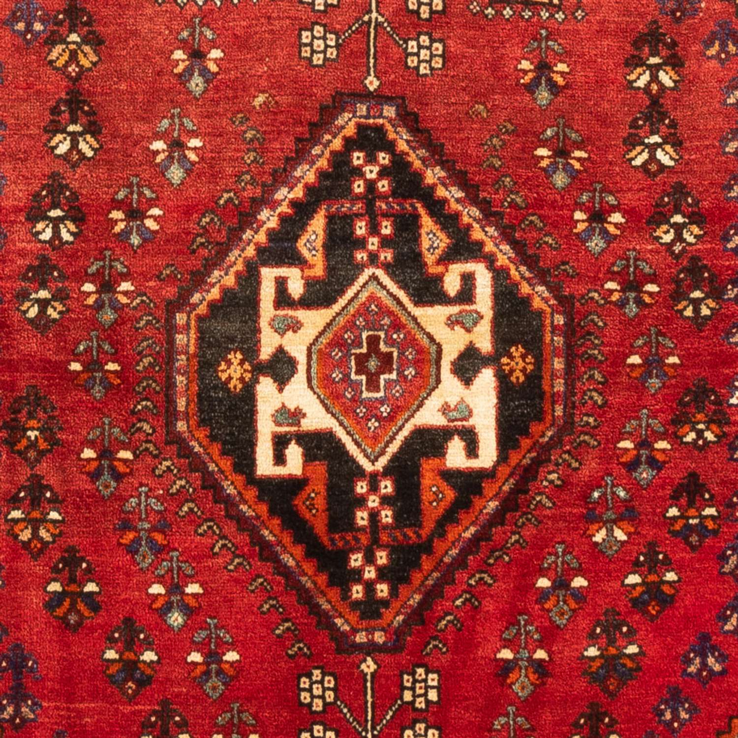 Tapis persan - Nomadic - 170 x 114 cm - rouge