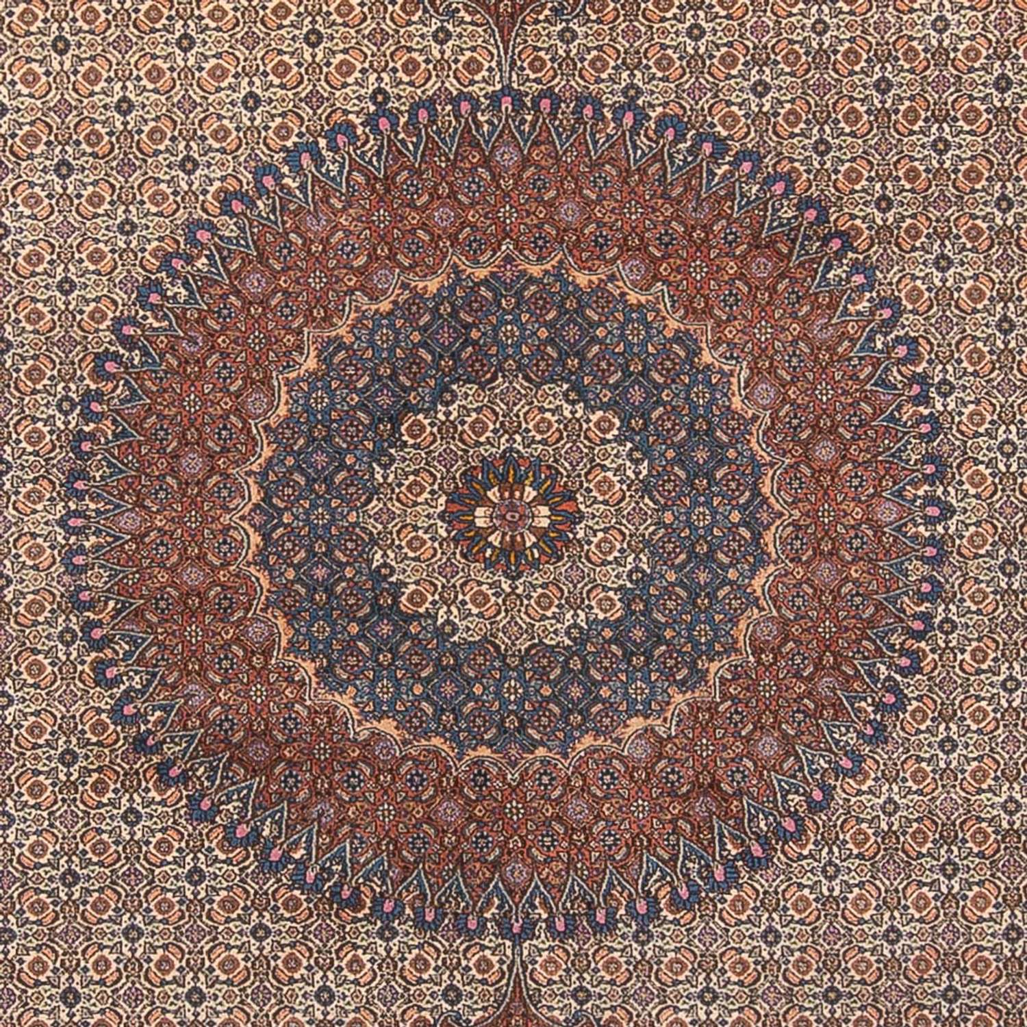 Persisk matta - Classic - 397 x 301 cm - mörk beige