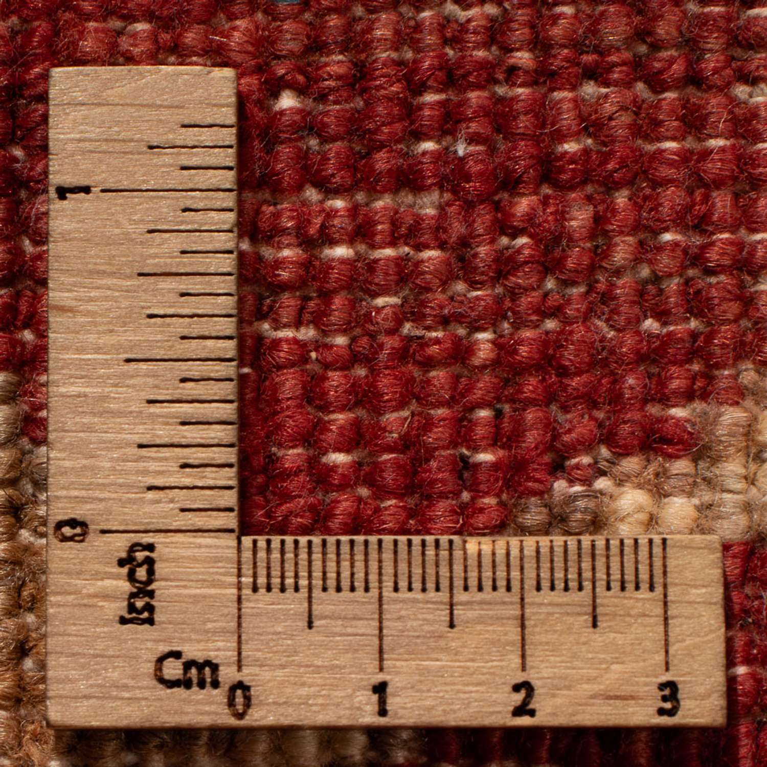 Ziegler Carpet - 455 x 308 cm - grädde