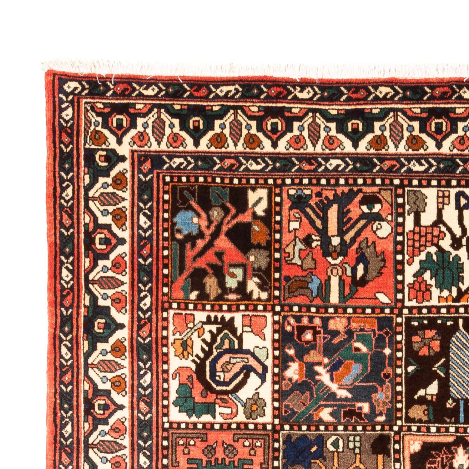Persisk matta - Nomadic - 300 x 205 cm - flerfärgad