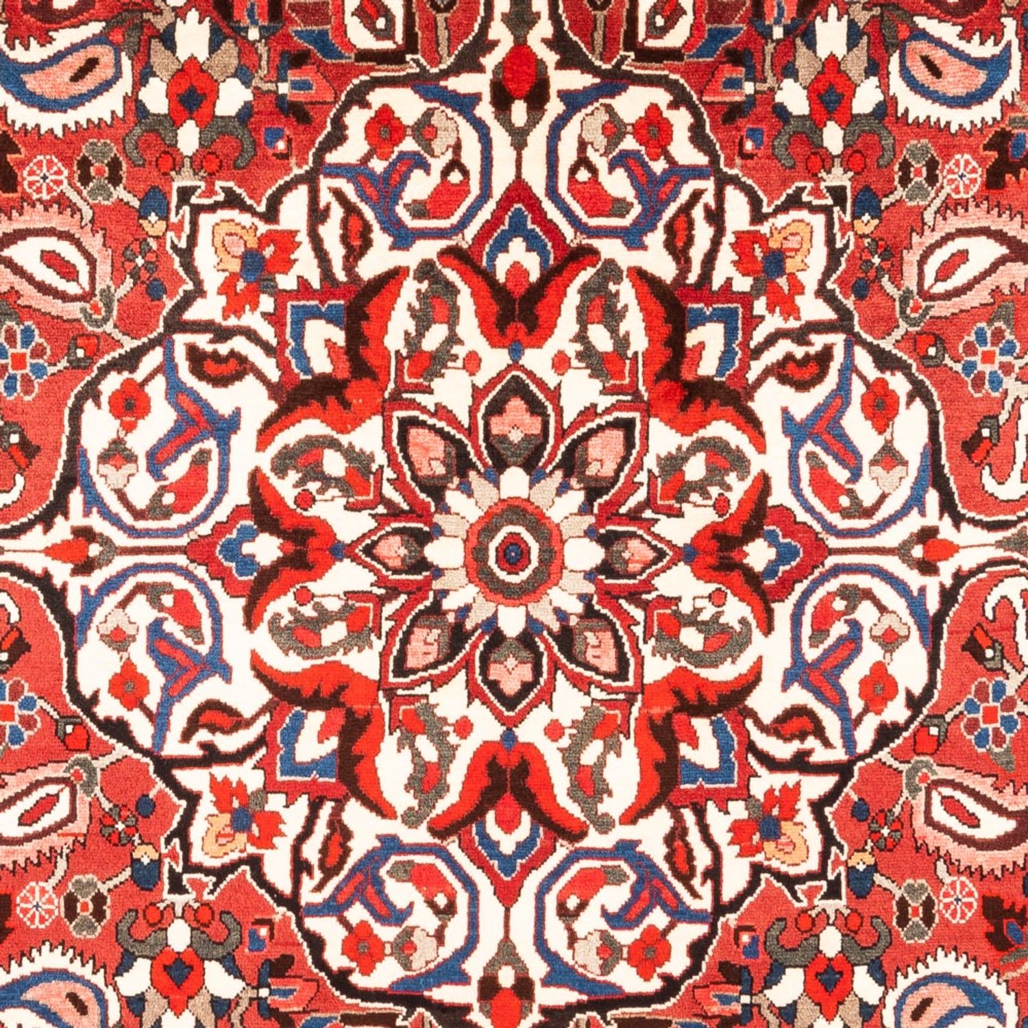 Tapis persan - Nomadic - 315 x 207 cm - rouge