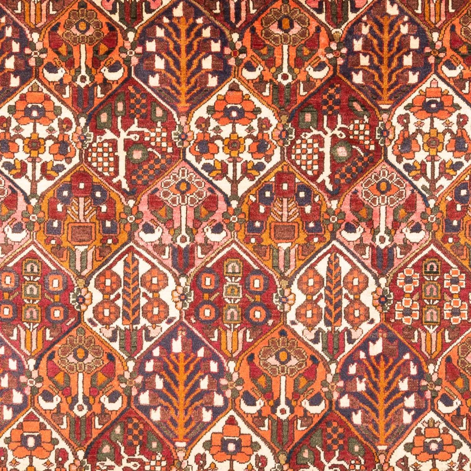 Persisk matta - Nomadic - 308 x 210 cm - flerfärgad