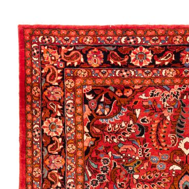 Perser Rug - Nomadic - 340 x 227 cm - red