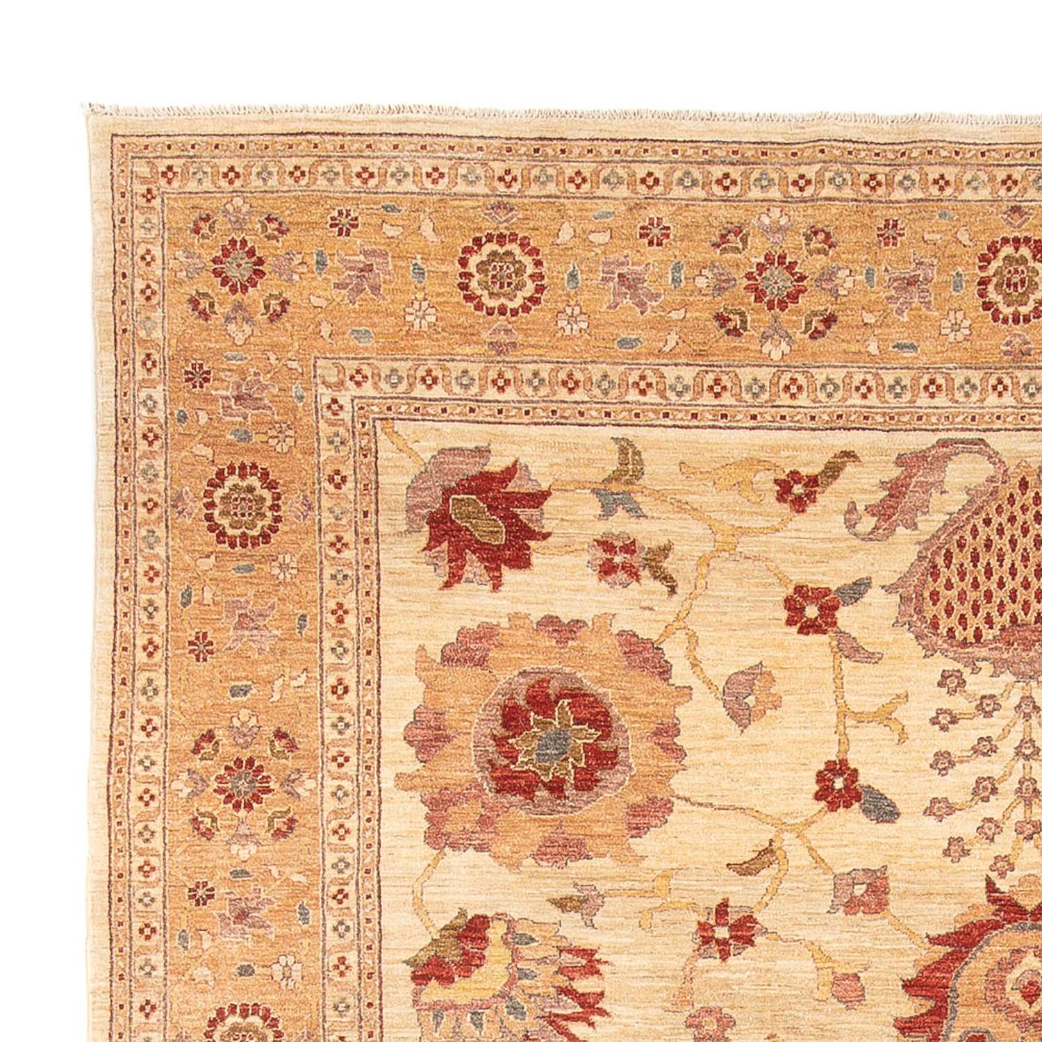 Ziegler Carpet - 347 x 282 cm - beige