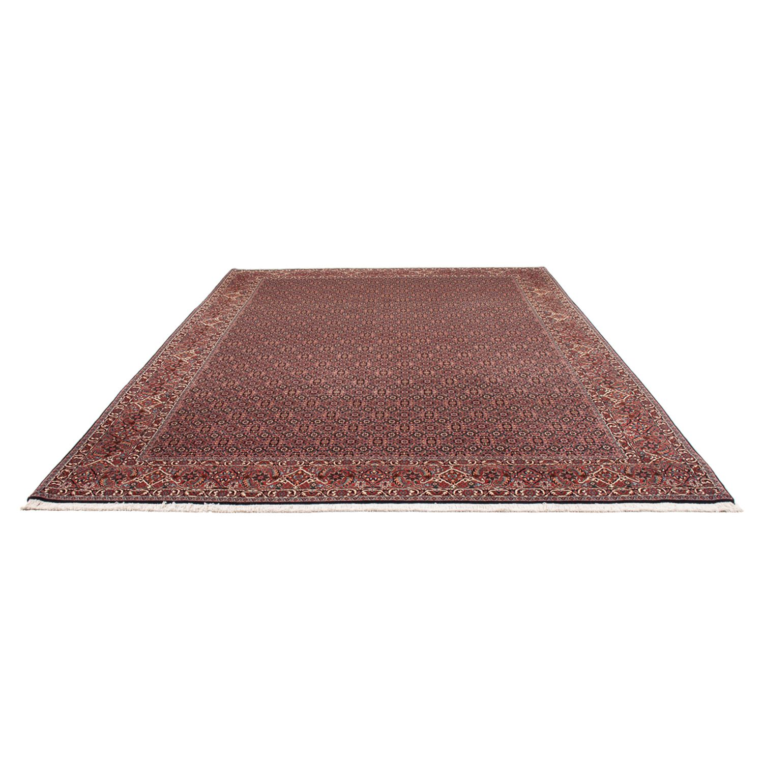 Tapis persan - Bidjar - 337 x 260 cm - bleu foncé