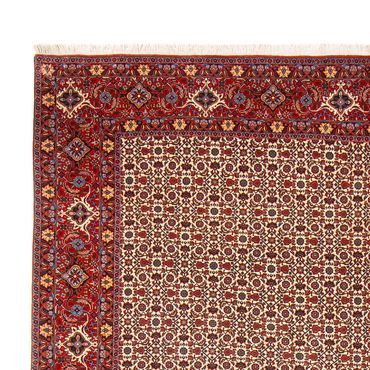 Tapete Persa - Bijar - Royal - 343 x 260 cm - creme