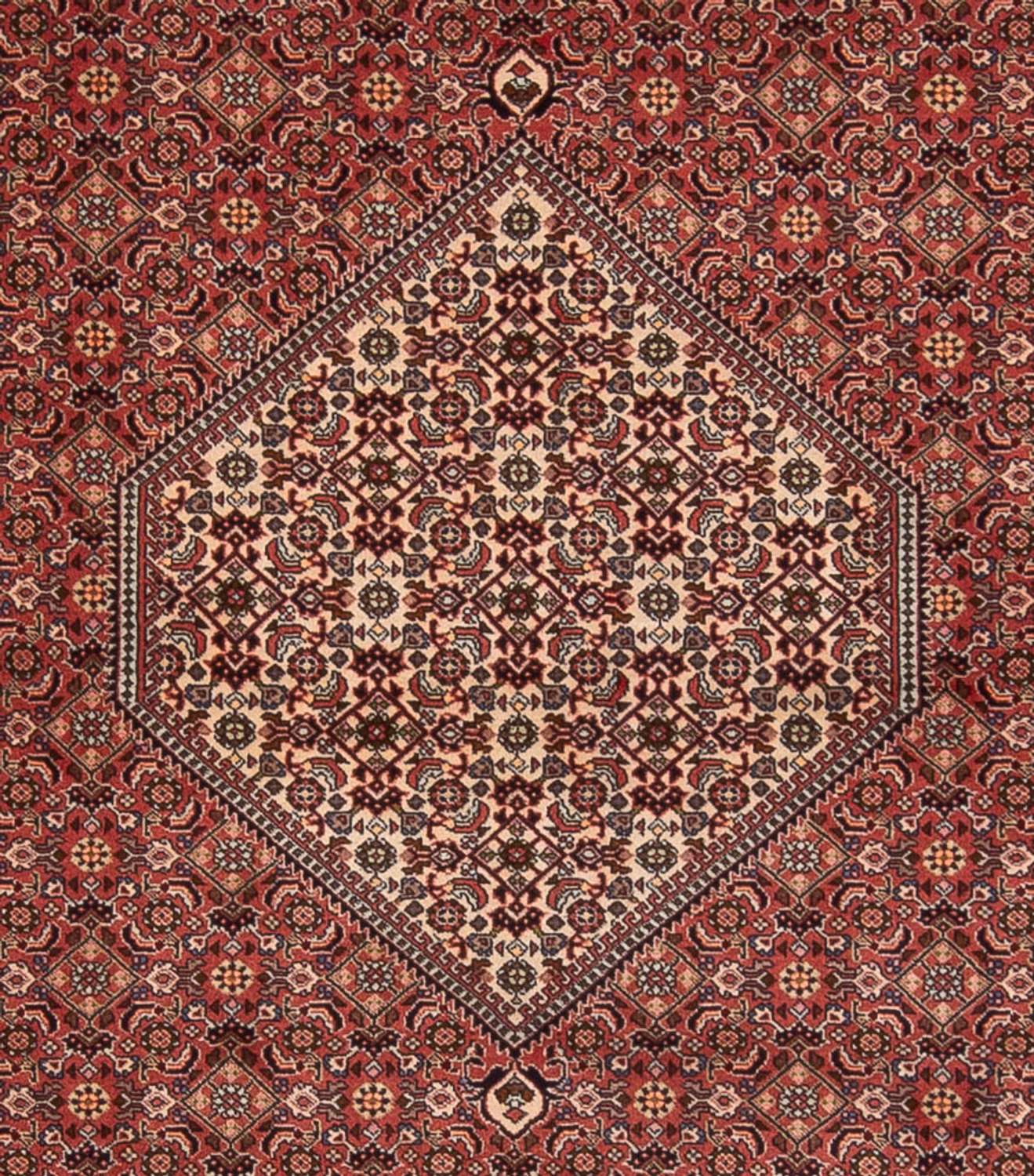 Alfombra persa - Bidjar - 340 x 250 cm - rojo oscuro