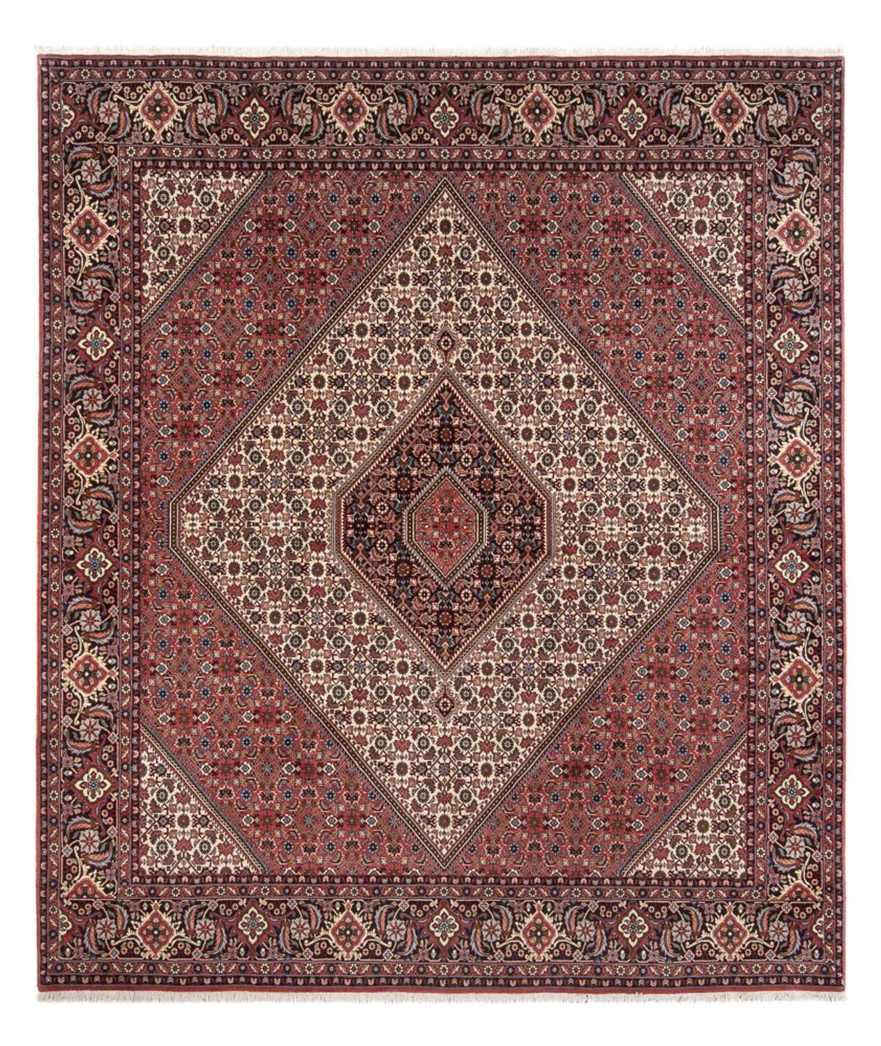 Alfombra persa - Bidjar - 296 x 252 cm - crema