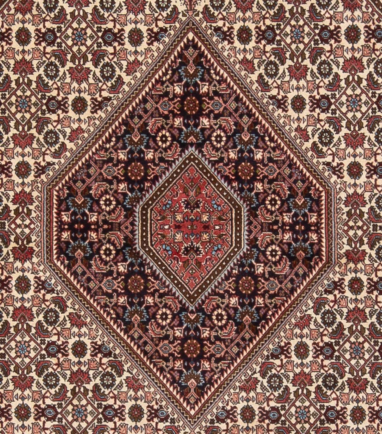 Persisk matta - Bijar - Royal - 296 x 252 cm - grädde