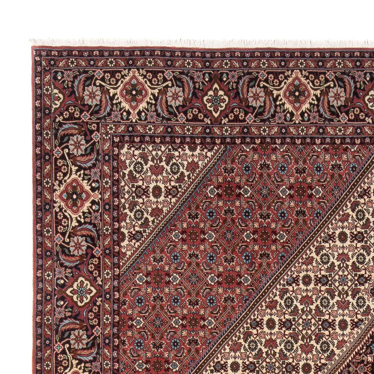 Persisk matta - Bijar - Royal - 296 x 252 cm - grädde